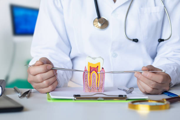 Best Emergency Tooth Extraction in Wilkesboro, NC